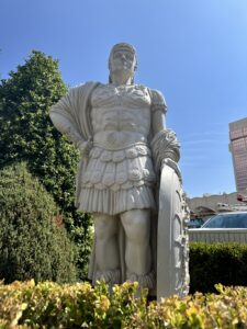 IMG_6452